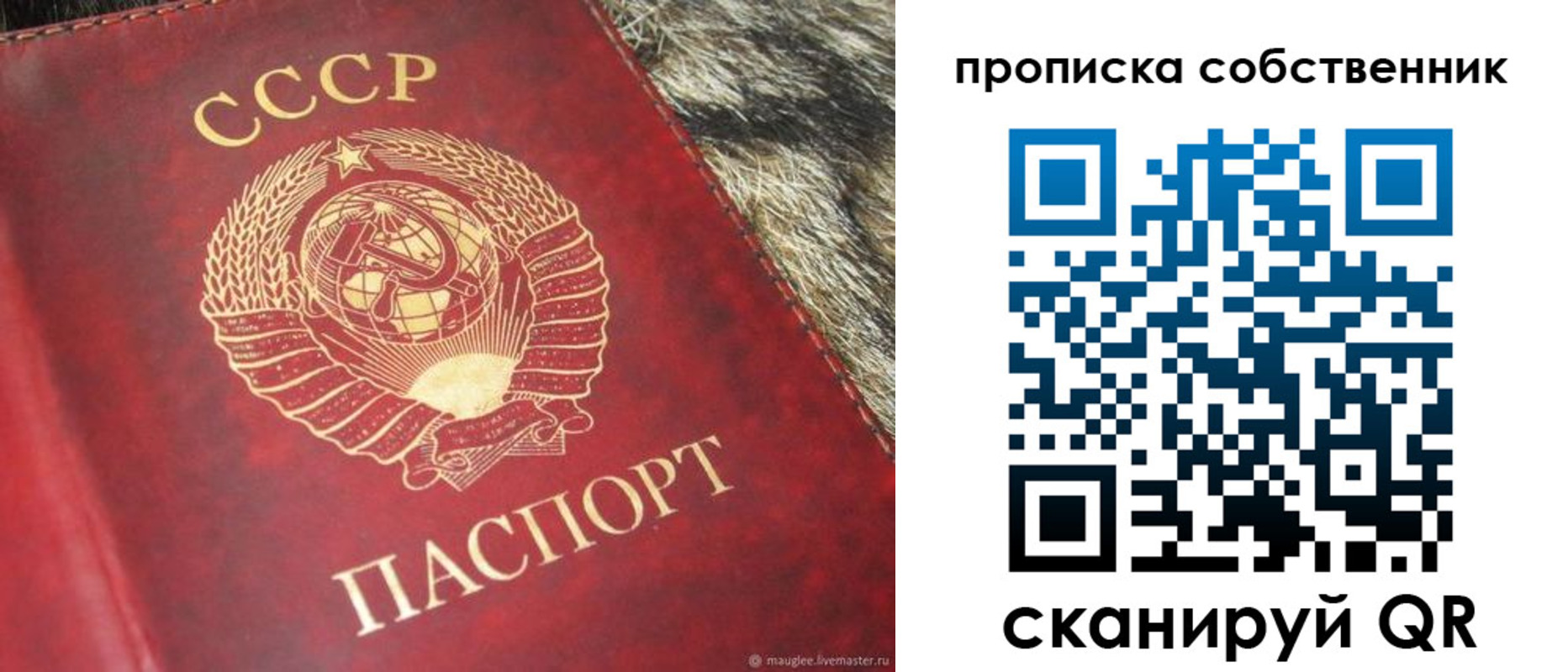 прописка в квартире в Королёве